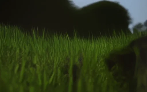 LTX-Video - D: Gen5 NVMe